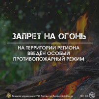 Противопожарный режим Противопожарный режим.
