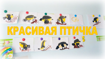 МИР ВОКРУГ НАС МИР ВОКРУГ НАС.
