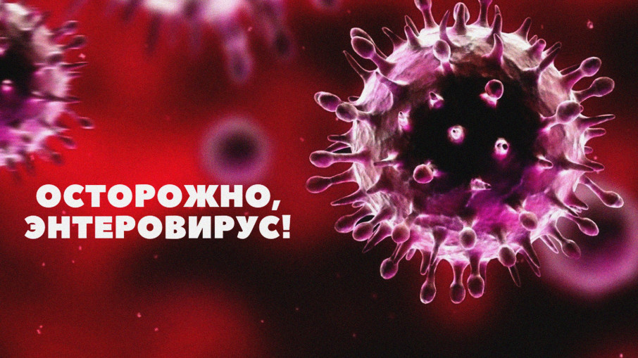 Профилактика ЭВИ Профилактика ЭВИ.